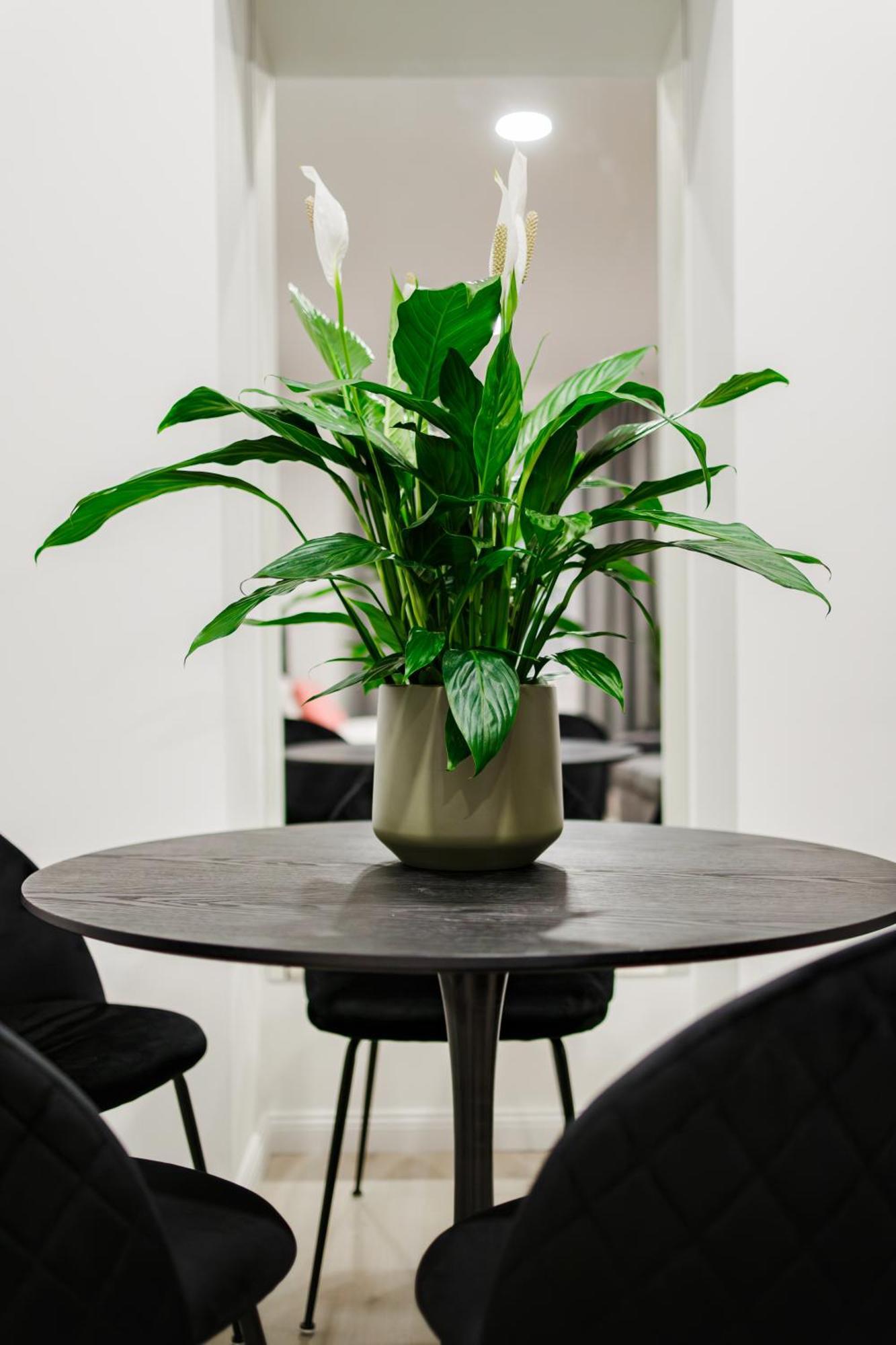 Rigaapartment Elizabetes 22 Self-Service Aparthotel מראה חיצוני תמונה