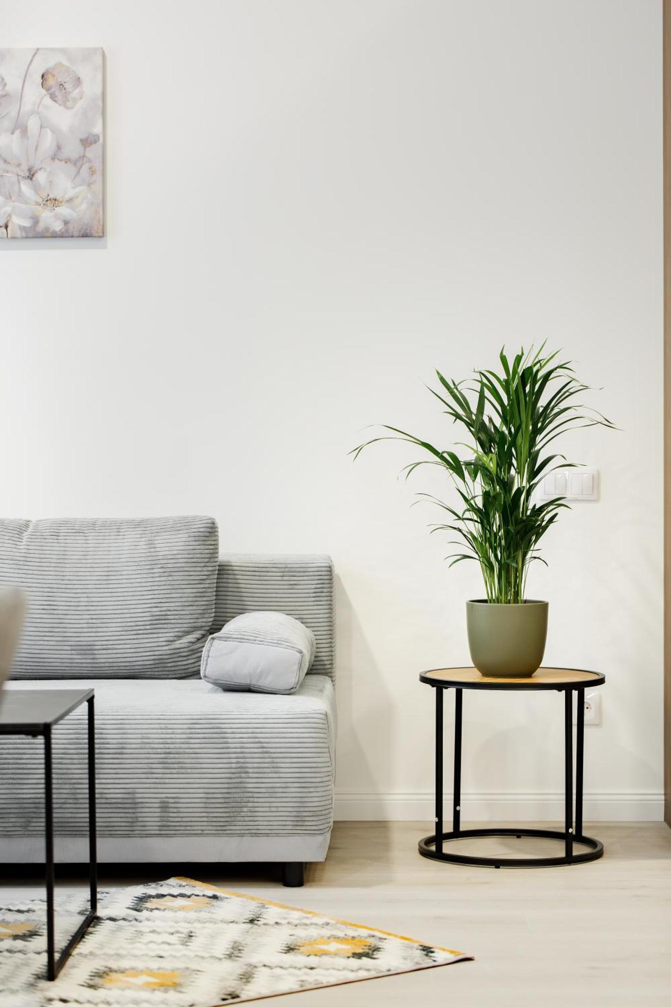 Rigaapartment Elizabetes 22 Self-Service Aparthotel מראה חיצוני תמונה